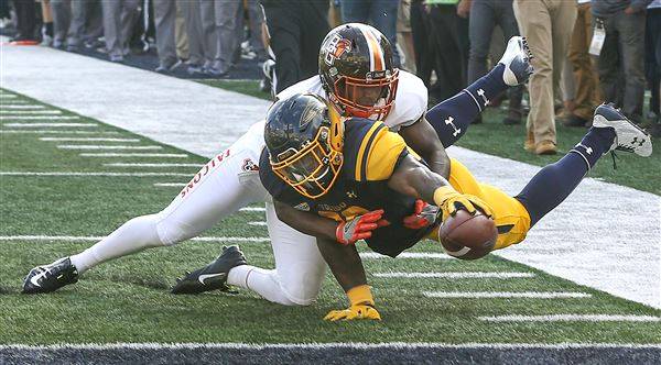 Yellow Jackets On Fire