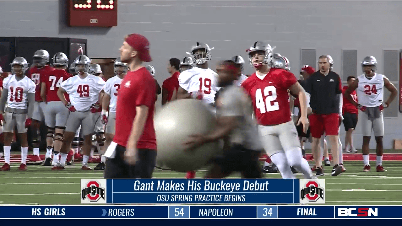 Bobcats Striving For Story Book Ending For John Rice