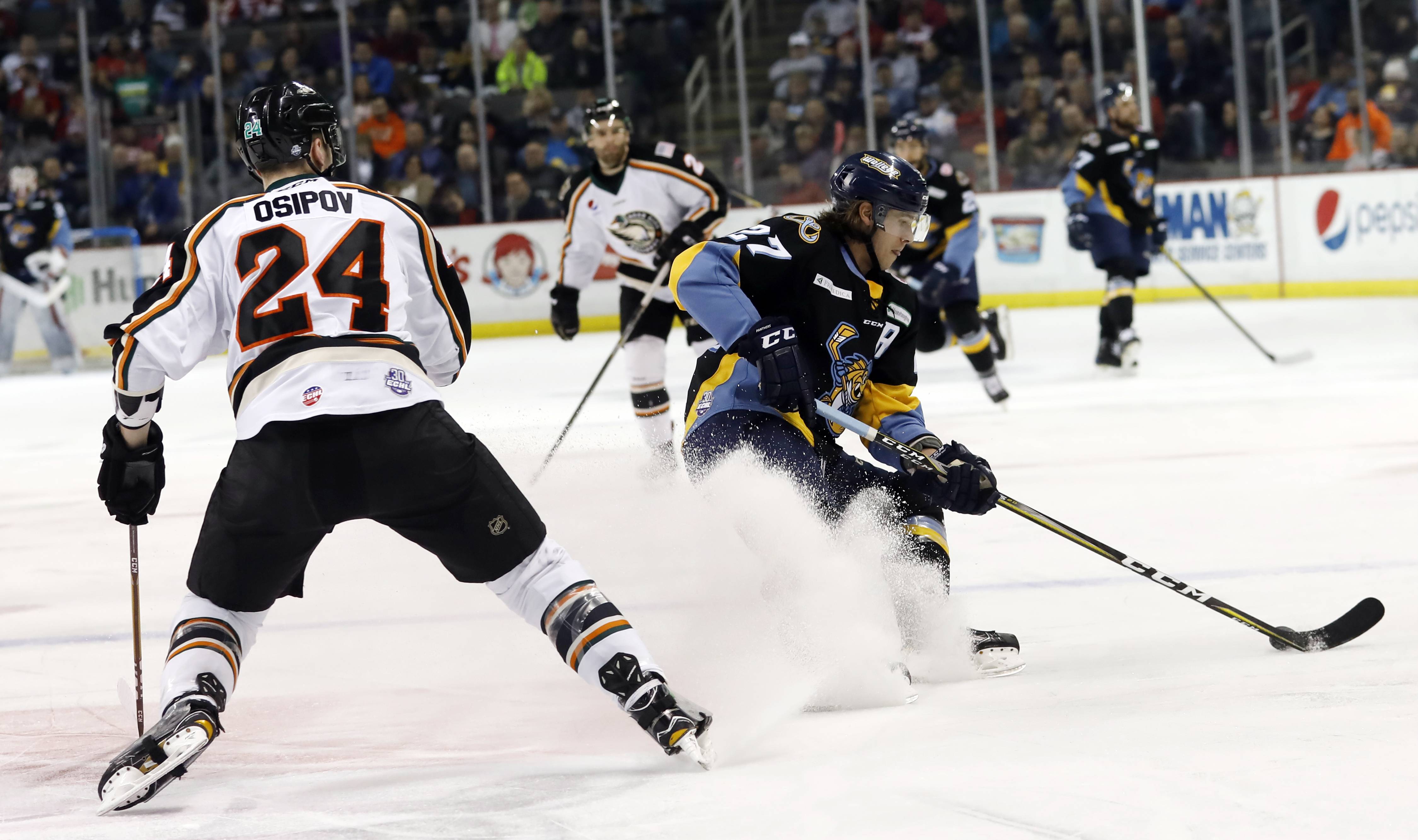 Walleye Rout Mallards 8-0