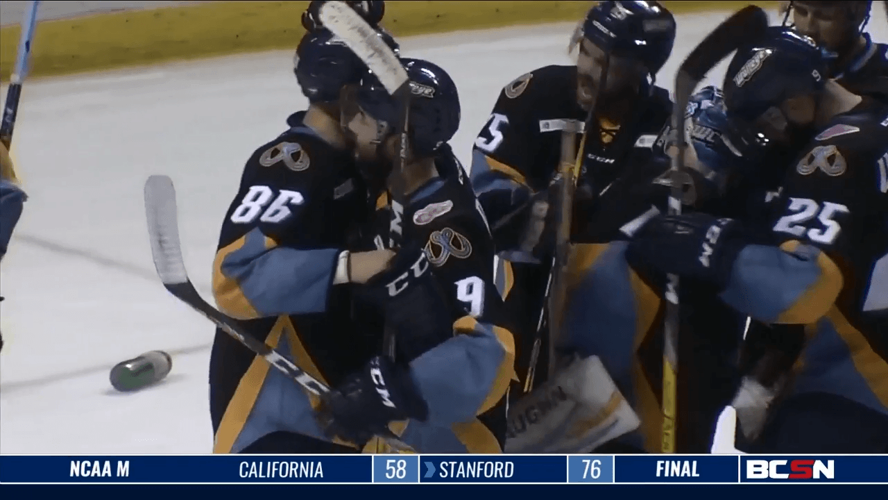 Former Walleye Players Face Ebbs And Flows Of Minor League Hockey