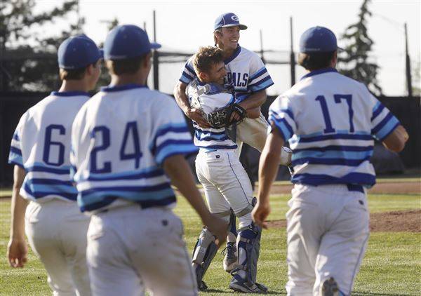 Anthony Wayne Advances to State Semifinal with Win over Strongsville