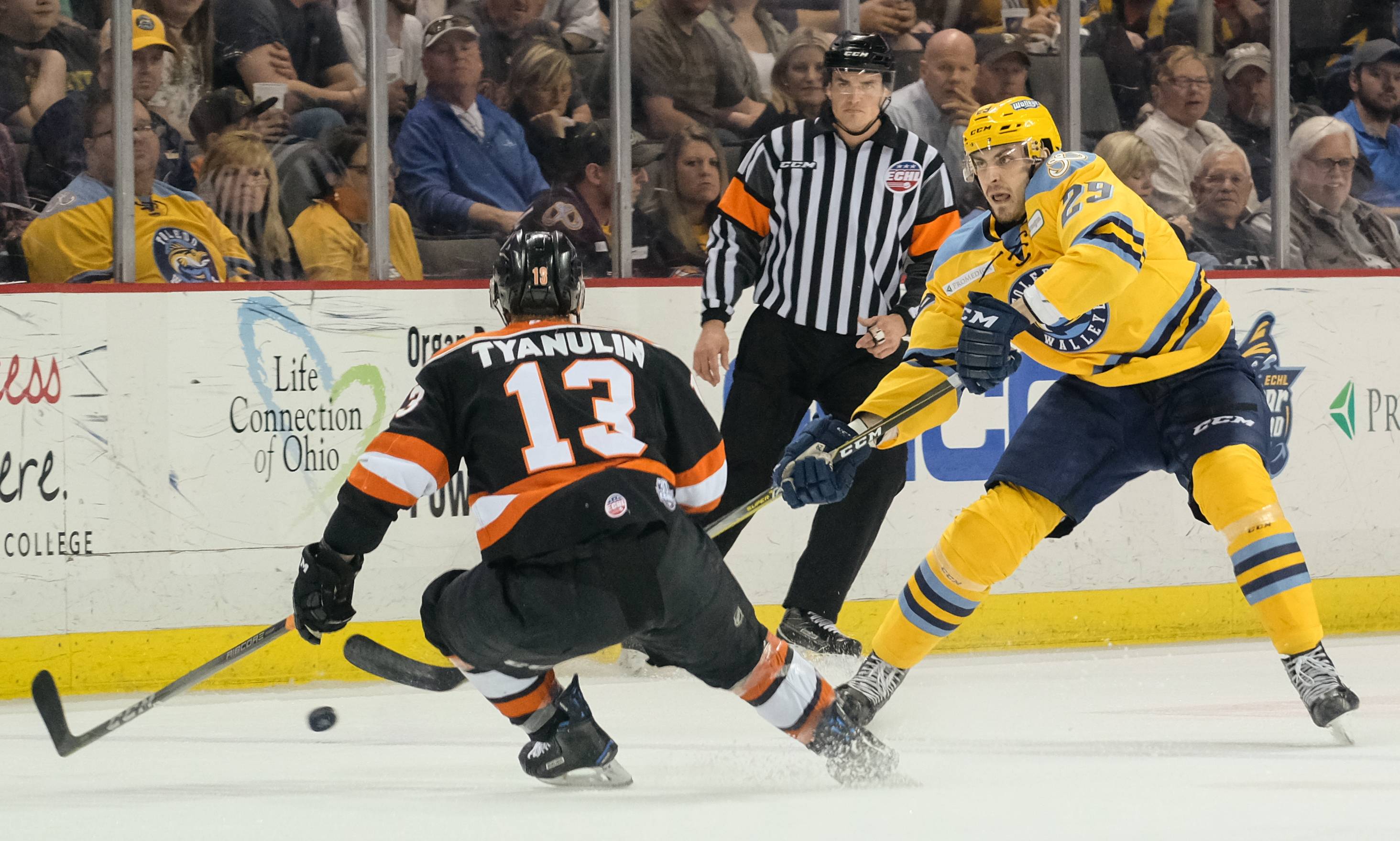 Walleye Fans Invited To “Thank You” Event To Celebrate 2017-2018 Team