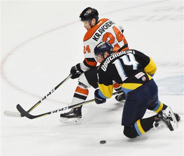 Walleye Take 2-1 Lead Going into Game 4