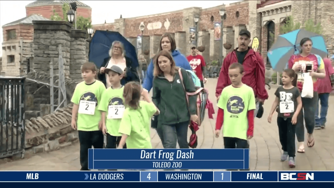Dart Frog Dash a Family Affair