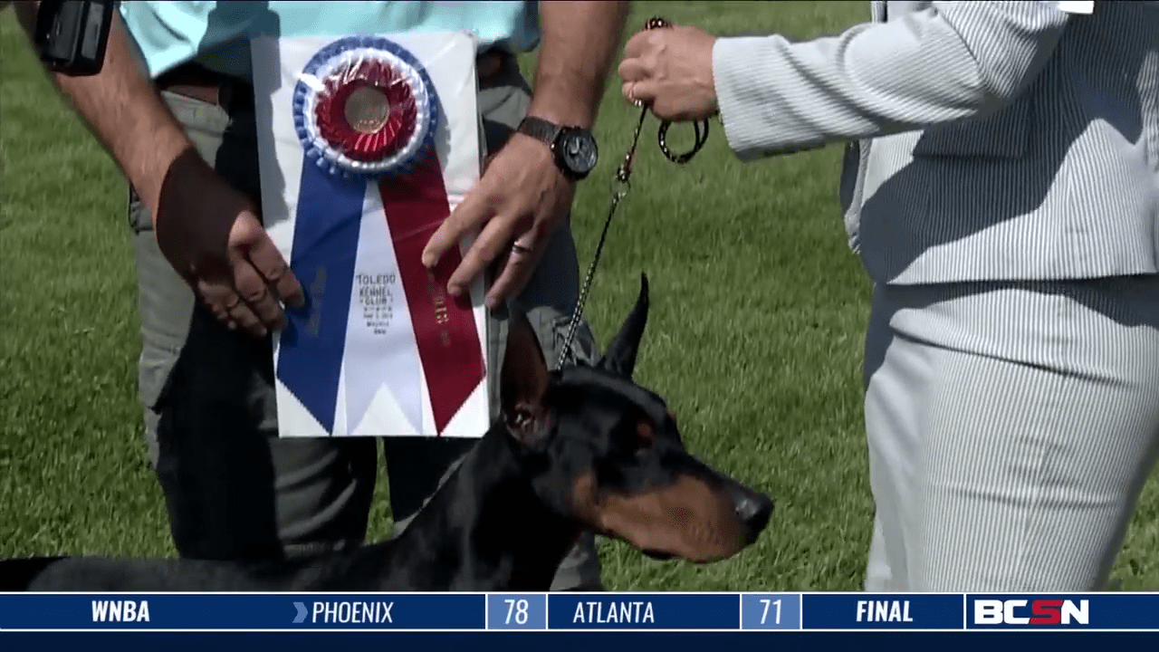 BCSN’s Coverage of the Toledo Kennel Club Dog Show