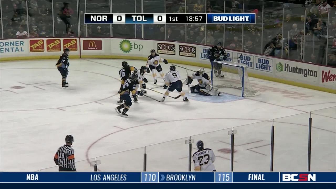 Toledo Walleye on the Road this Week