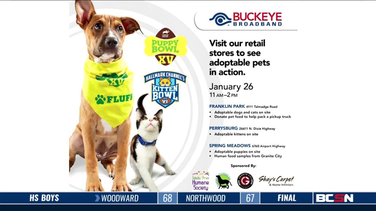 Puppy Bowl XV This Saturday
