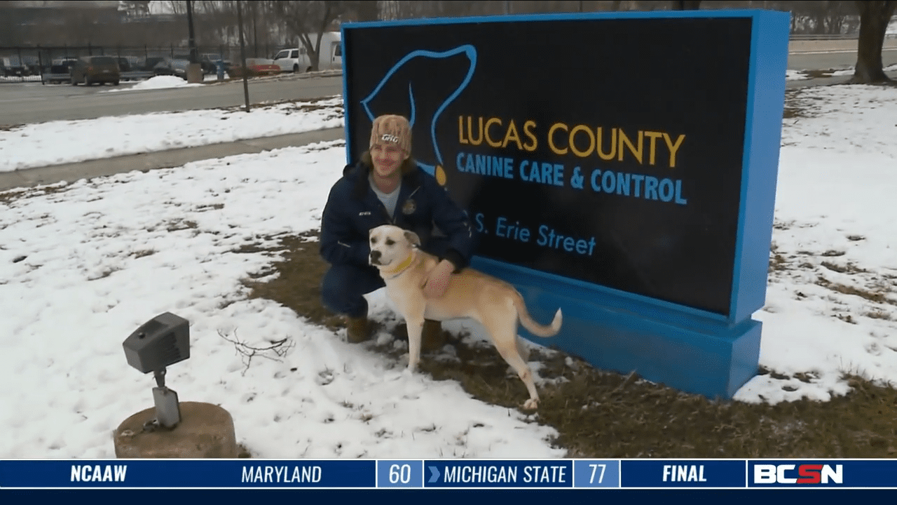 Fish and Some Friends