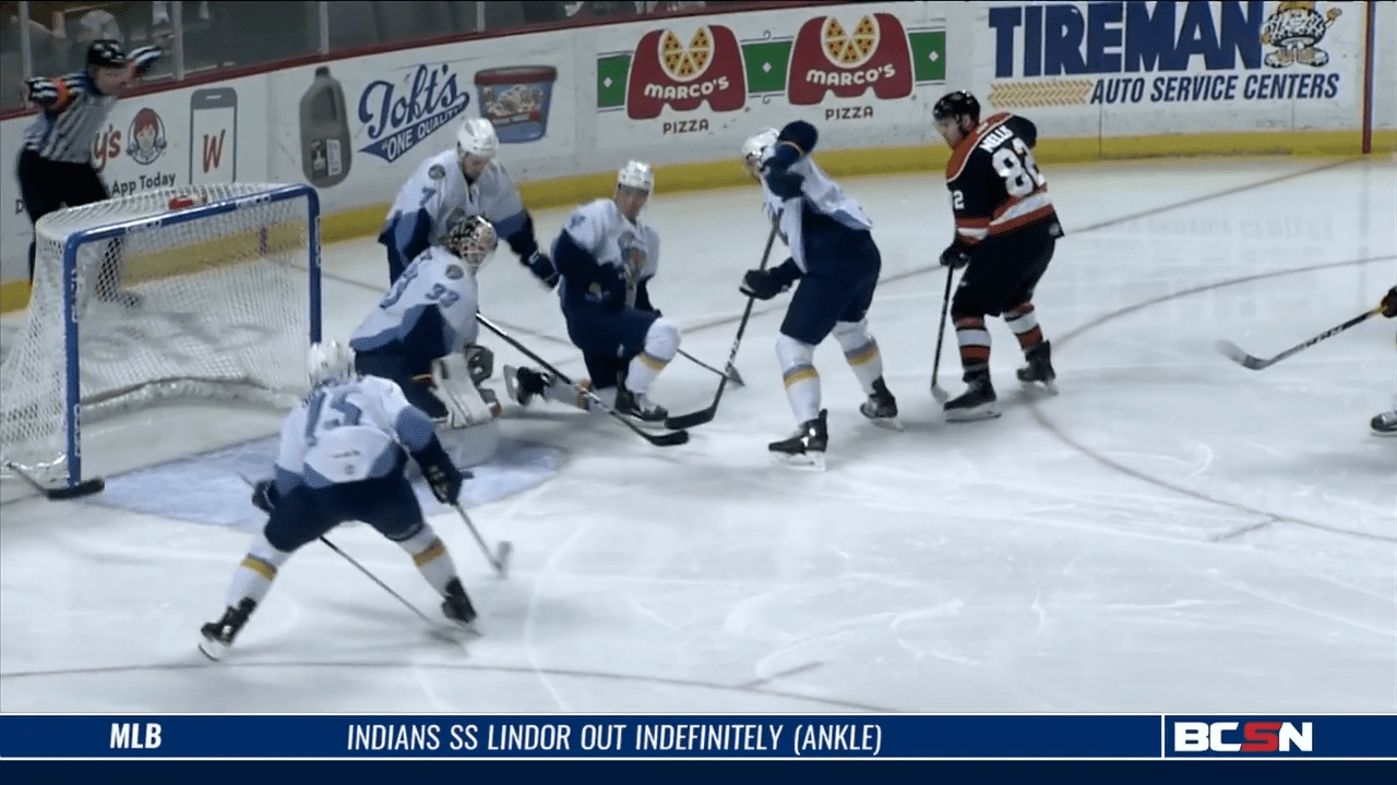 Walleye Adding Players for Playoff Push