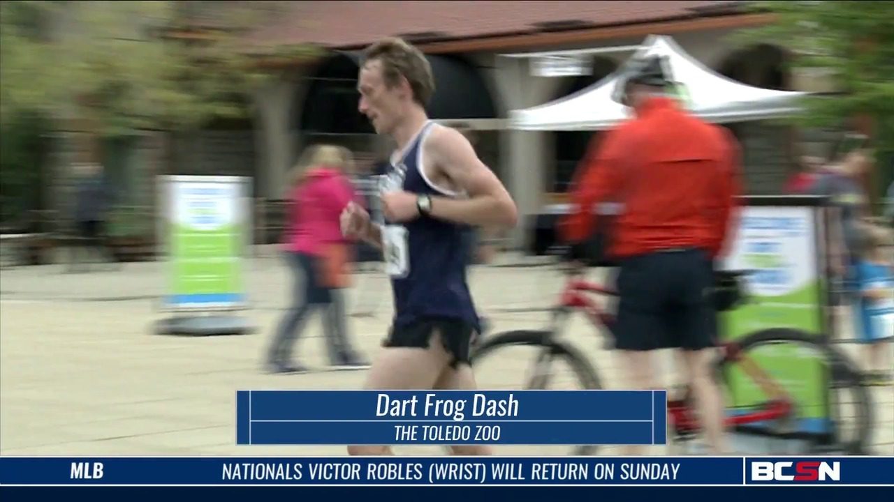 Dart Frog Dash 2019