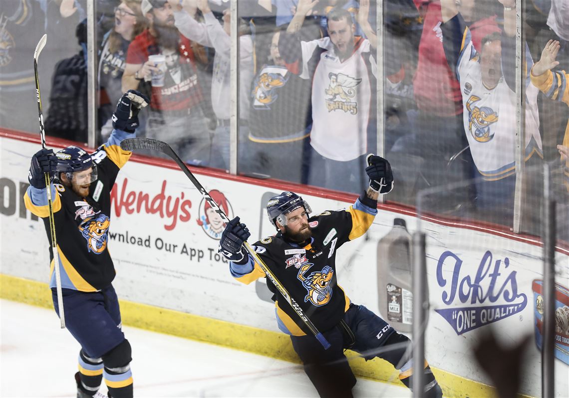 Southview Baseball Prepares for Regional Semi-Final vs Anthony Wayne