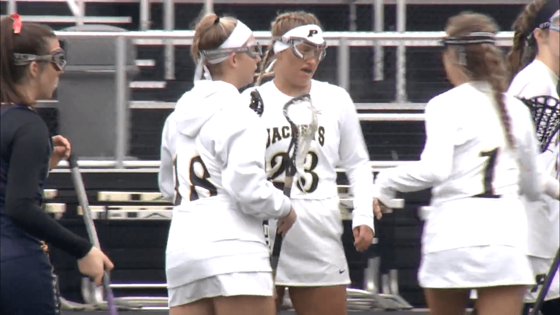 Bright Future for a Burgeoning Dynasty at Perrysburg