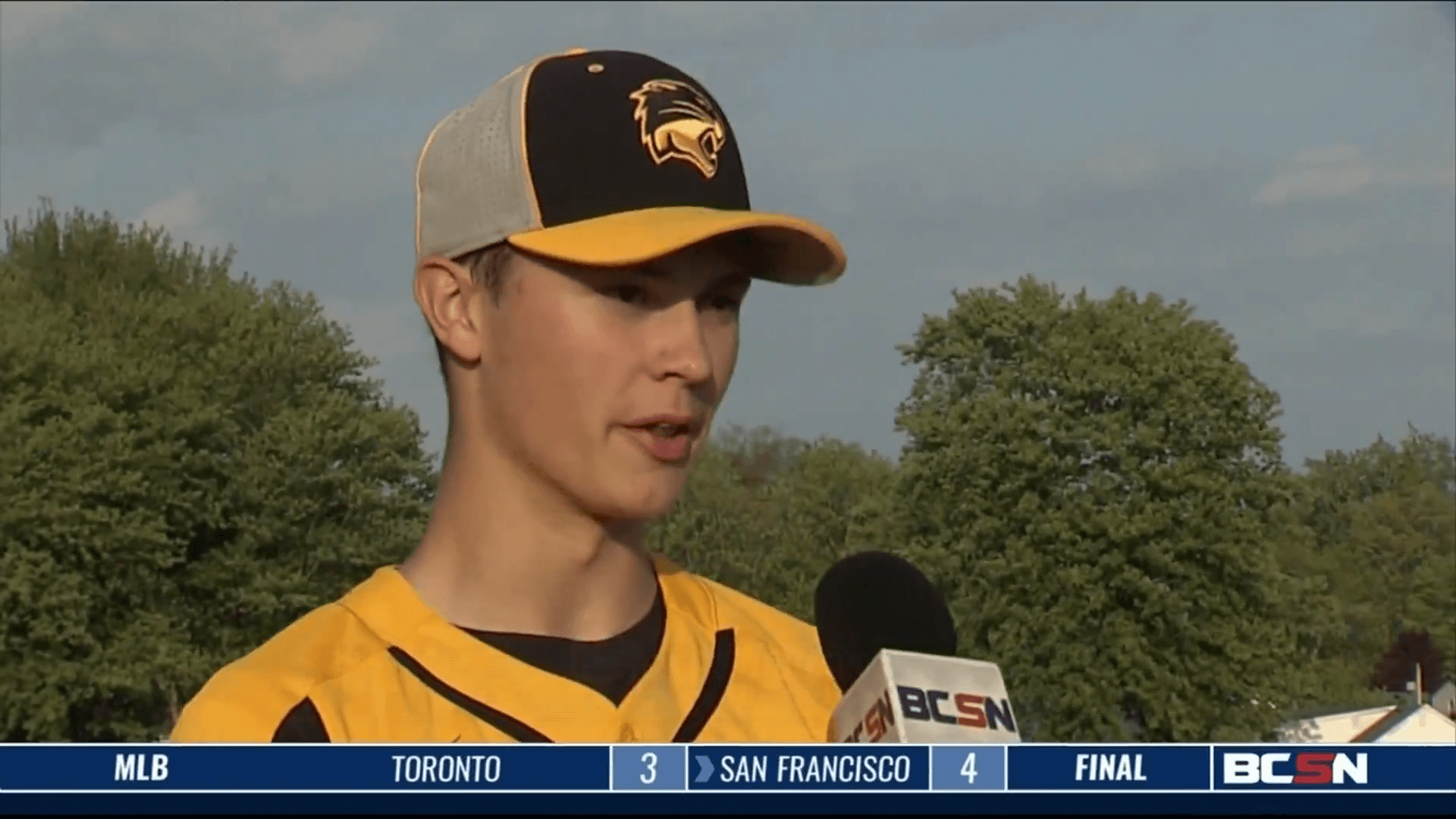 Northview Wins Cat Fight at Whitmer in Baseball Sectional