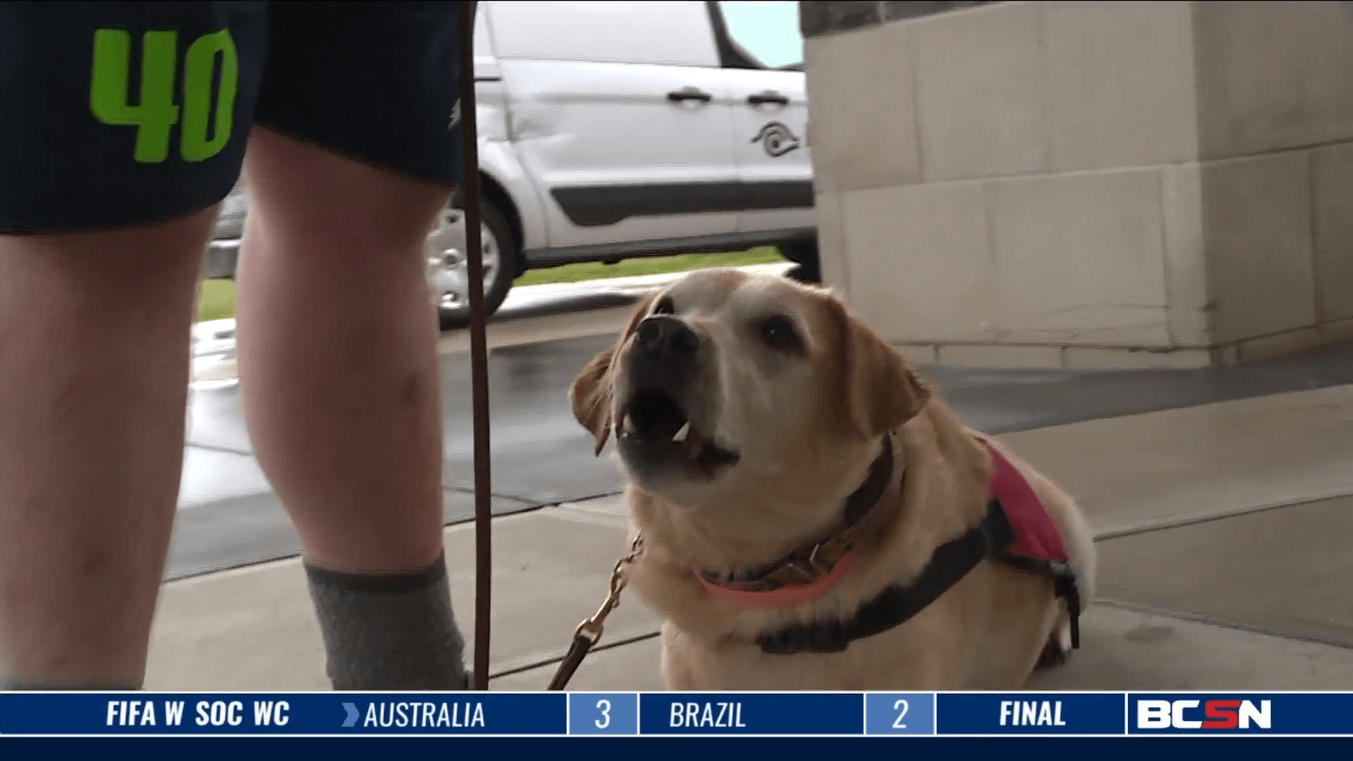 Diabetes Alert Dog Keeps Handler in the Game