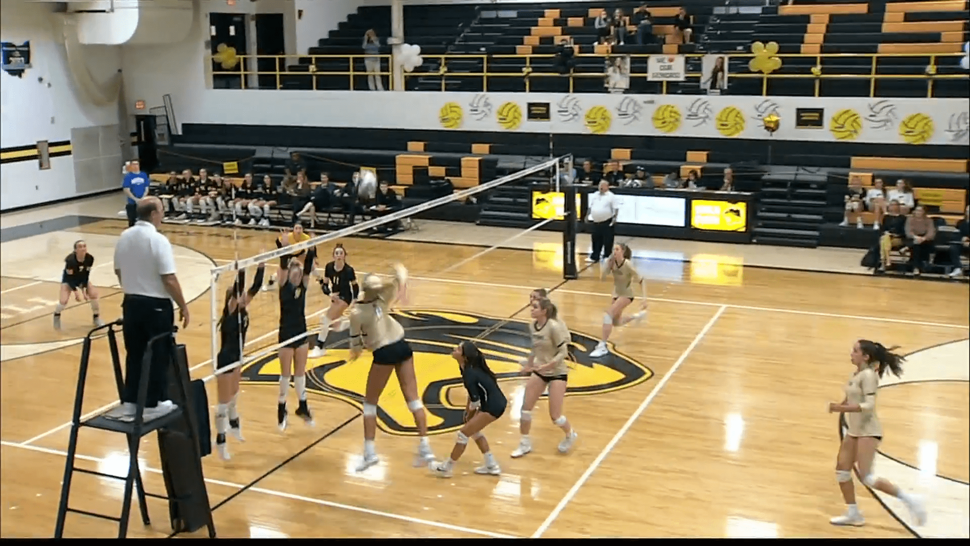 Perrysburg Volleyball Sweeps Northview, Remains Perfect in the NLL