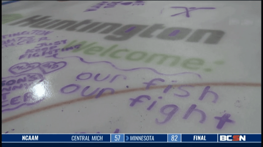Walleye Fans Fight Cancer by Painting Ice