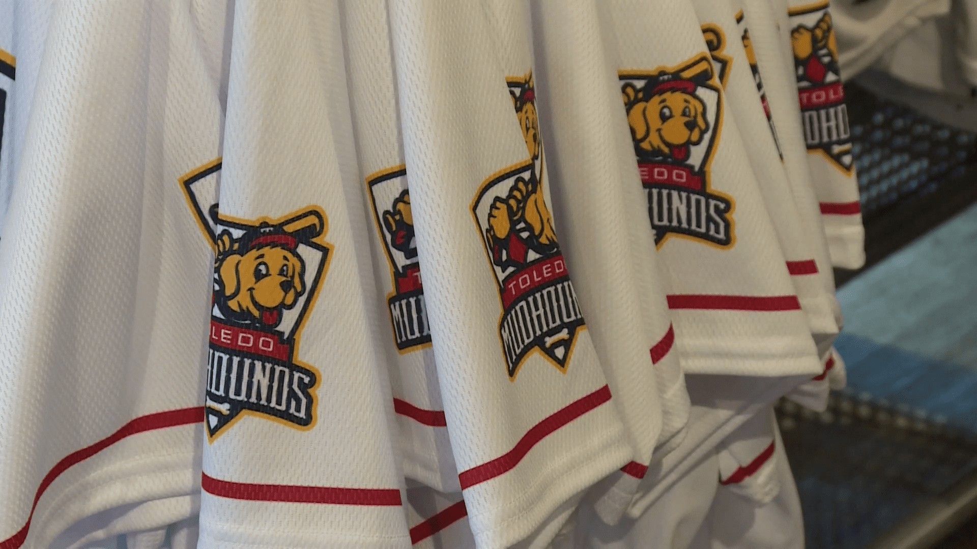 Swamp Shop Still Open Online