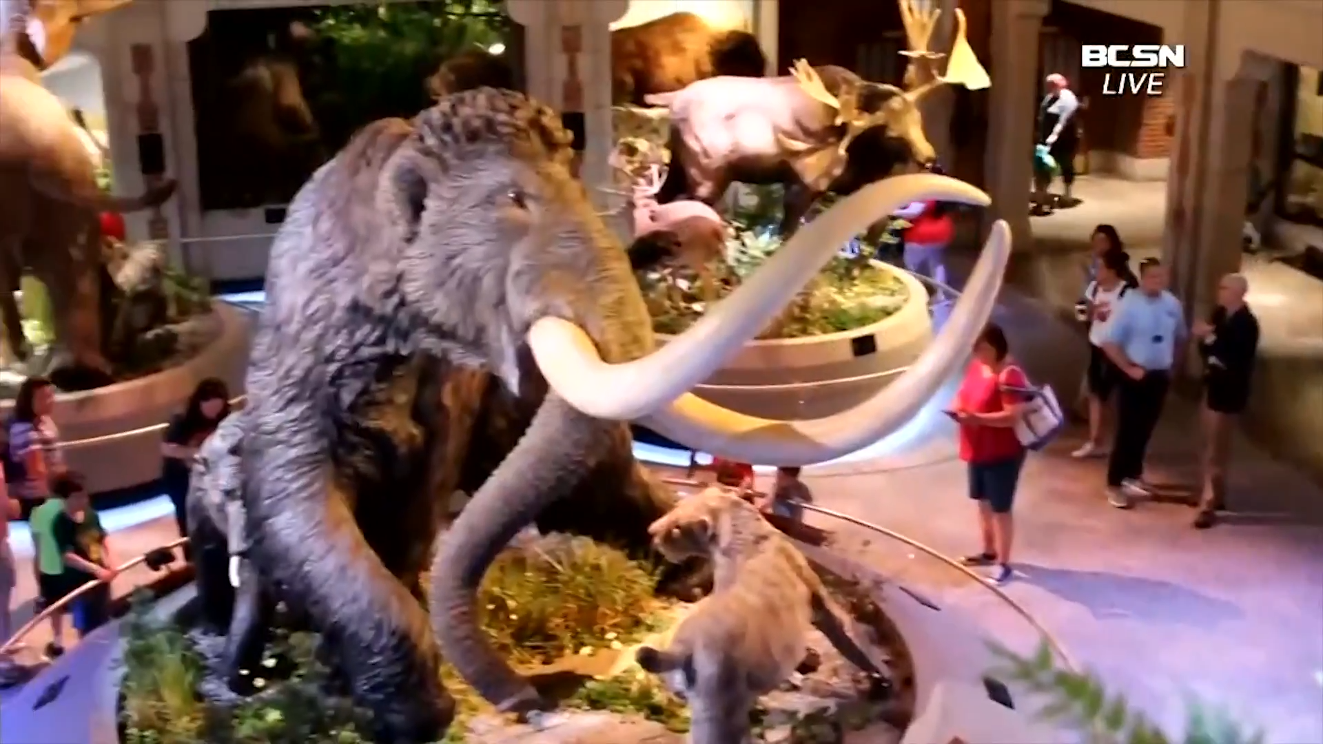 Allie Ray Discusses BCAN Pulse from the Marathon Classic