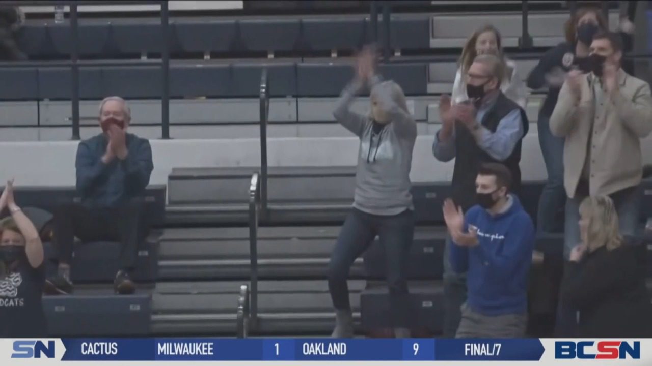 Napoleon Wildcat Fans Show Support