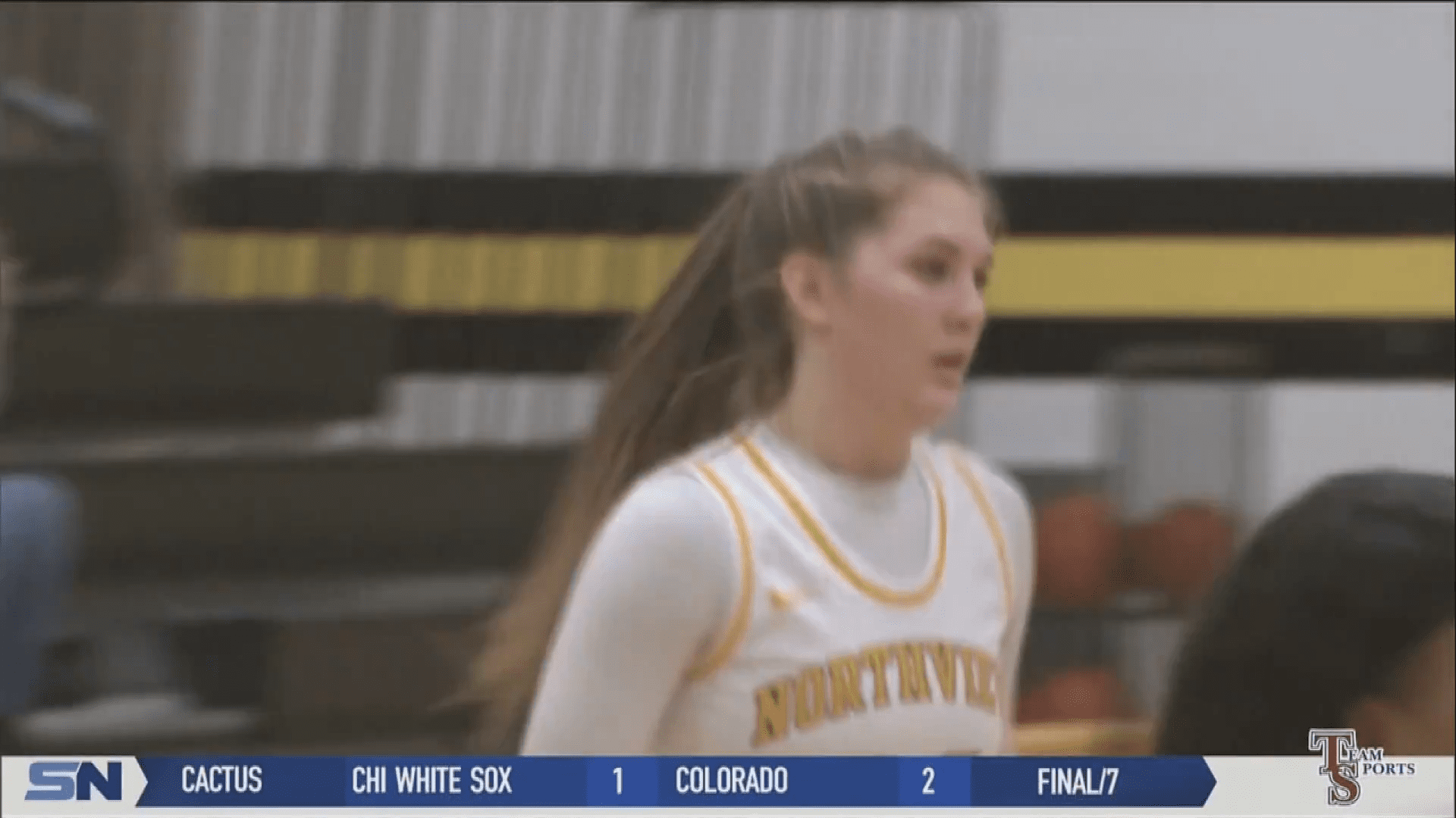 Napoleon's Strock Named D-II Player of the Year; NDA's Van Slooten 1st Team All-Ohio in D-I