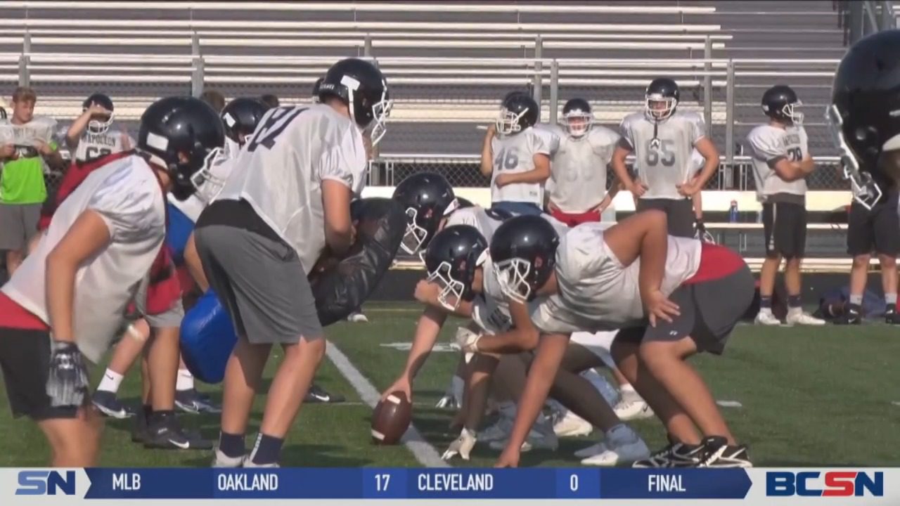 New Look for Napoleon Wildcats