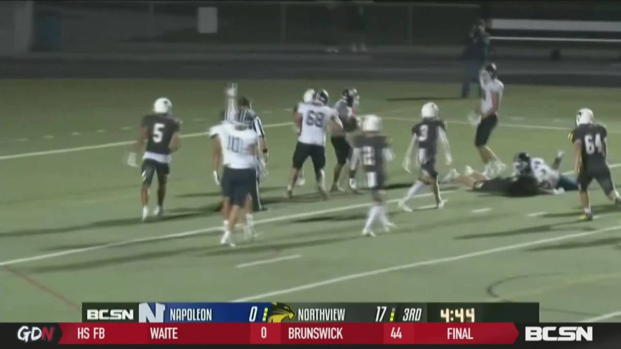 Northview Pounces in Battle of Wildcats, Drops Napoleon