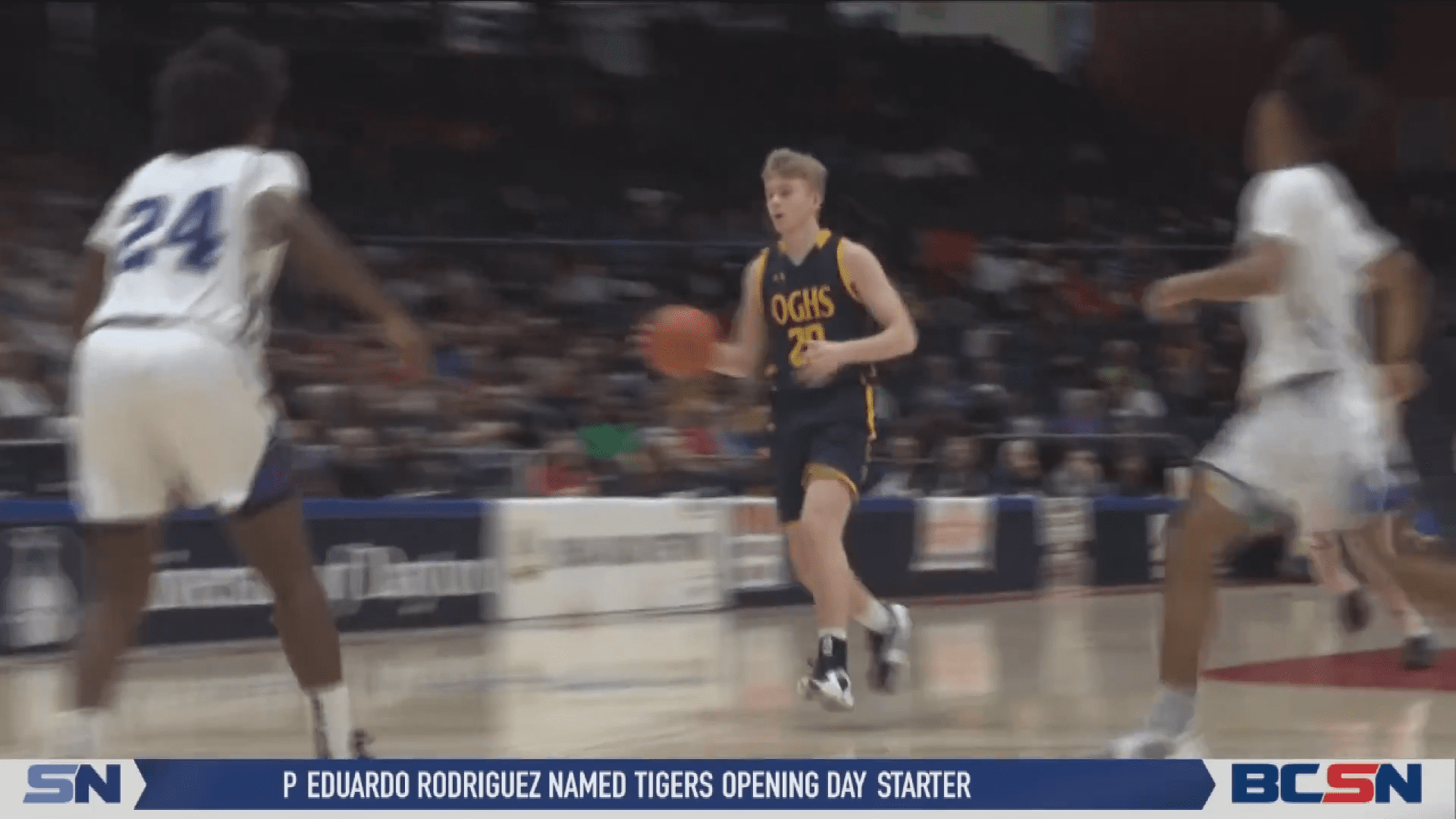 Sophomore Standout Leads Semifinal Comeback for Ottawa-Glandorf