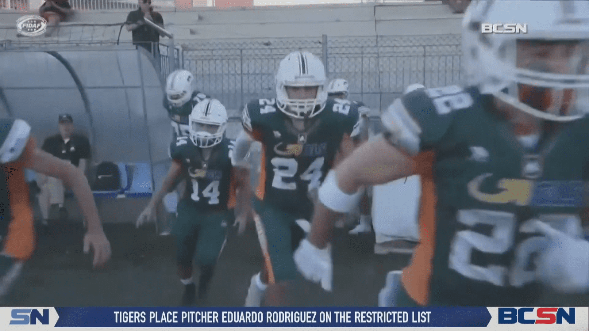 Ancona Dolphins Dominate Modena in First Round of Playoffs