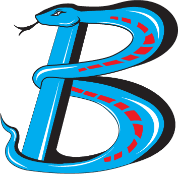 Bowsher Blue Racers