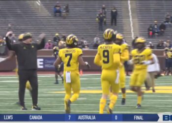 McNamara and McCarthy Under Microscope at Michigan