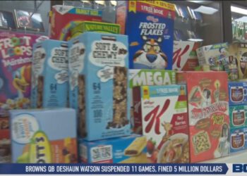 Springfield Volleyball Serving Up Community Support