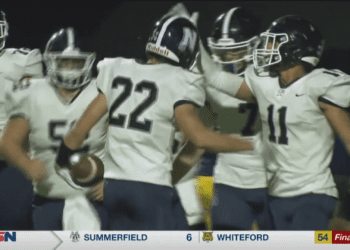 Napoleon Wildcats Claw Maumee