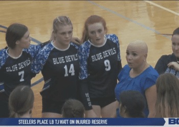 Springfield Defeats Northview in Straight Sets, Third Way Tie for First in NLL