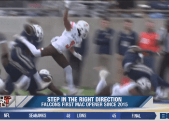 Falcons Flying in the Right Direction