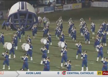 Anthony Wayne Falls to Olmsted Falls in Regional Quarterfinal