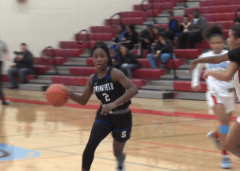 Northern Lakes League Girls Basketball Preview