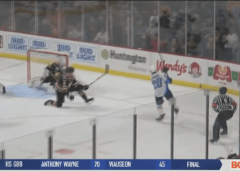 No Puck Luck for the Fish, Walleye Fall at Home to Wheeling