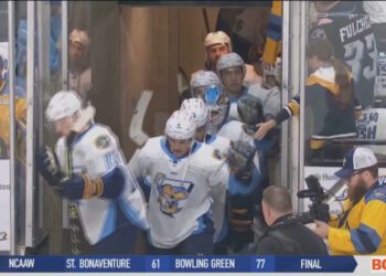 Melzak Monday: November 17th