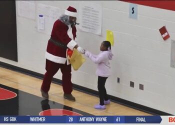 Walleye Goalie Cossa Called Up to Grand Rapids