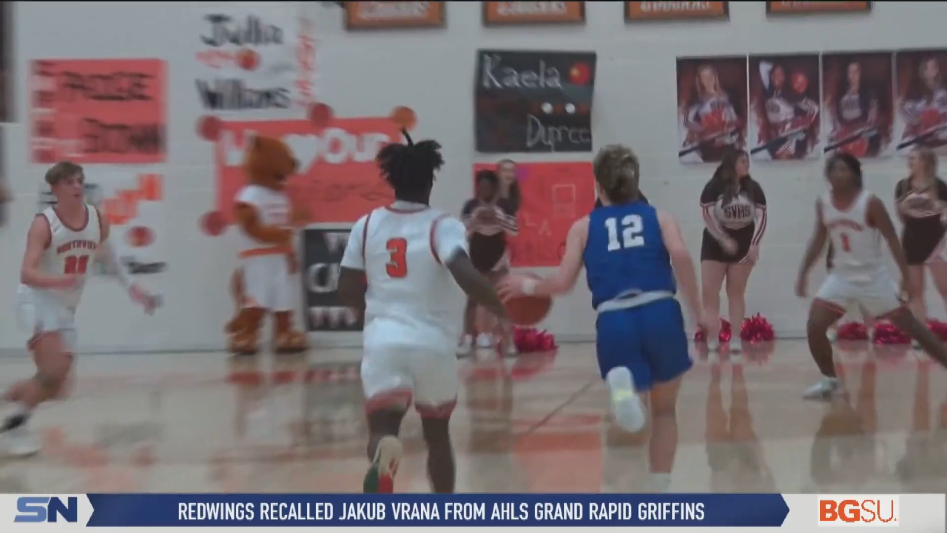 Schofield Nets 21 in Anthony Wayne Win over Southview