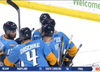 New Faces Blending in with the Toledo Walleye