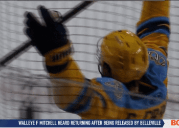 Walleye Fend off Division-Leading Cyclones in Testy 4-1 Win
