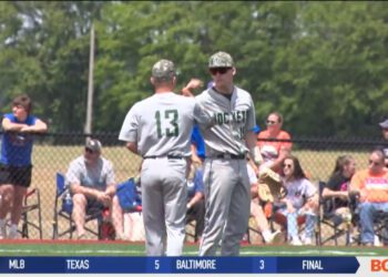 Edison Baseball Blanks Oak Harbor to Claim District Title