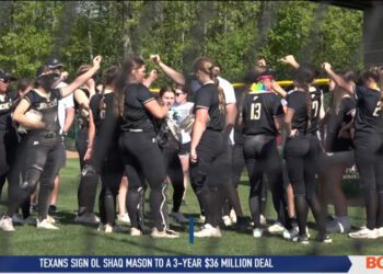 Small Ball Lifts Perrysburg Over Ashland for Sectional Title