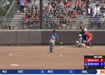 Brooklyn Patchen’s 16 Strikeouts Lead Anthony Wayne to District Final