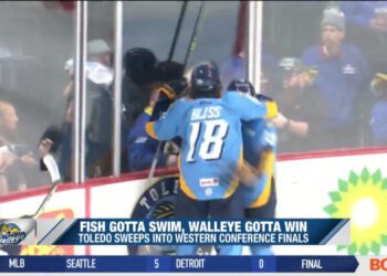 Total Team Efforts by Walleye in Post Season Perfection
