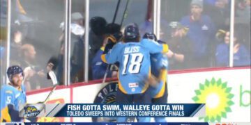 Total Team Efforts by Walleye in Post Season Perfection