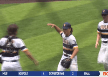 Bridgman Walks-off Whiteford in State Baseball Quarterfinal