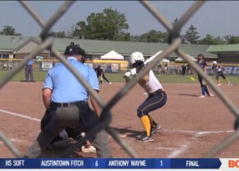 Unity Nelson Pushes Whiteford to Regionals After Allowing No Hits All Afternoon