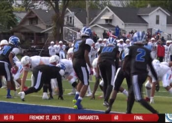 Bowsher Handles Woodward